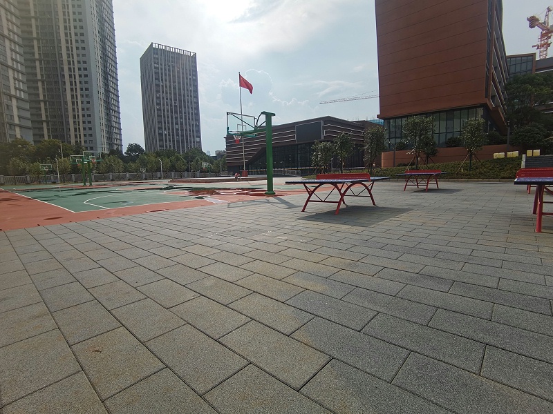 球場2